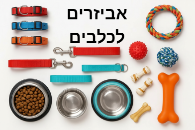 Accessories for dogs