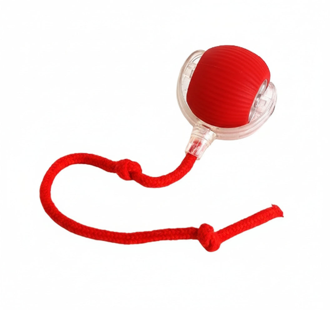 כדור משחק חכם