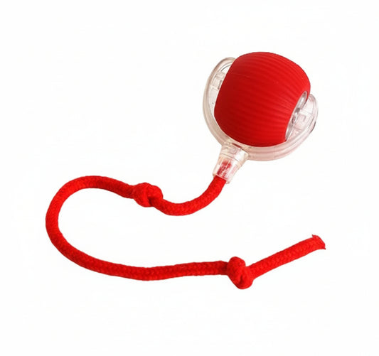 כדור משחק חכם