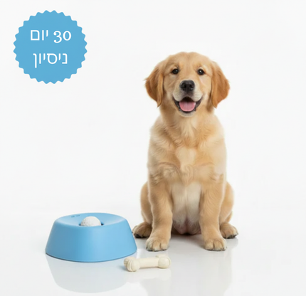 החוויה שלהם השקט שלך | LickNJoy™