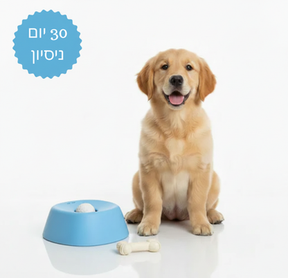 החוויה שלהם השקט שלך | LickNJoy™