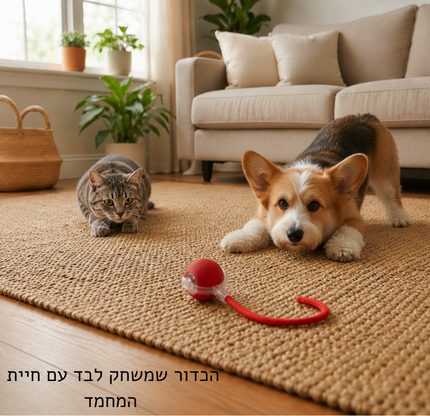 כדור ActiveBall™ למשחק חכם