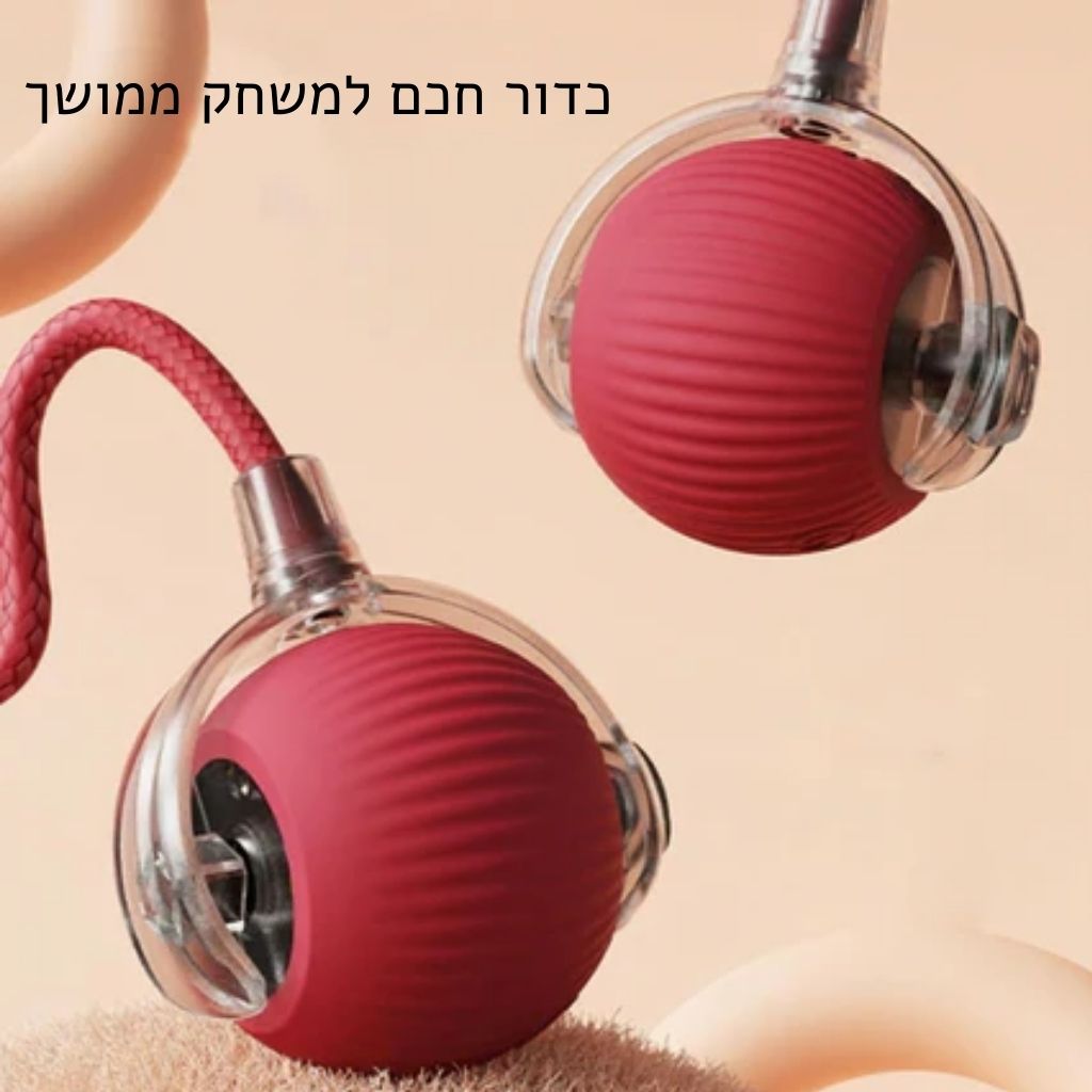 כדור משחק חכם