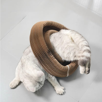 KarlzCat™ | משחק שמרגיש אחרת