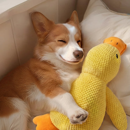 QuackCalm™ - בובת ברווז מרגיעה