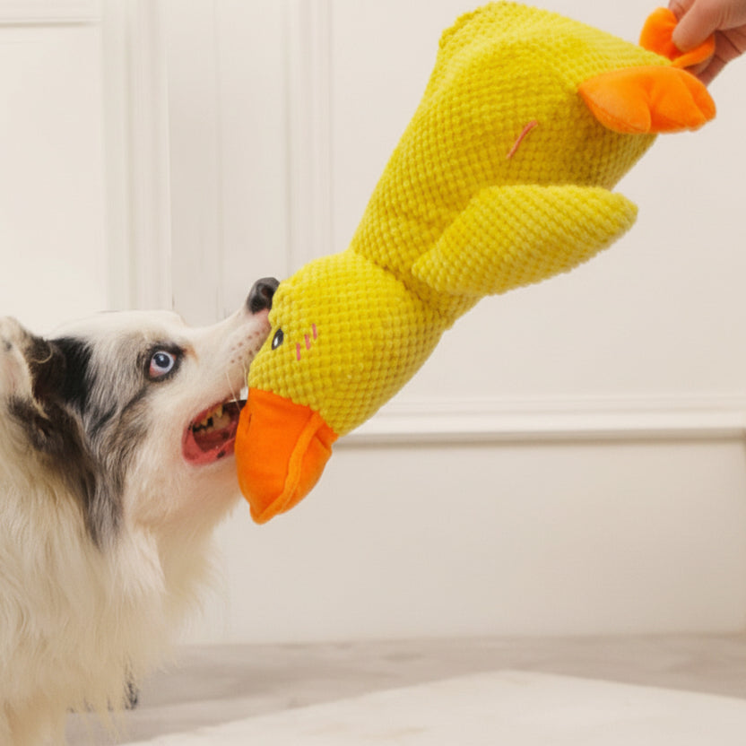 QuackCalm™ - בובת ברווז מרגיעה