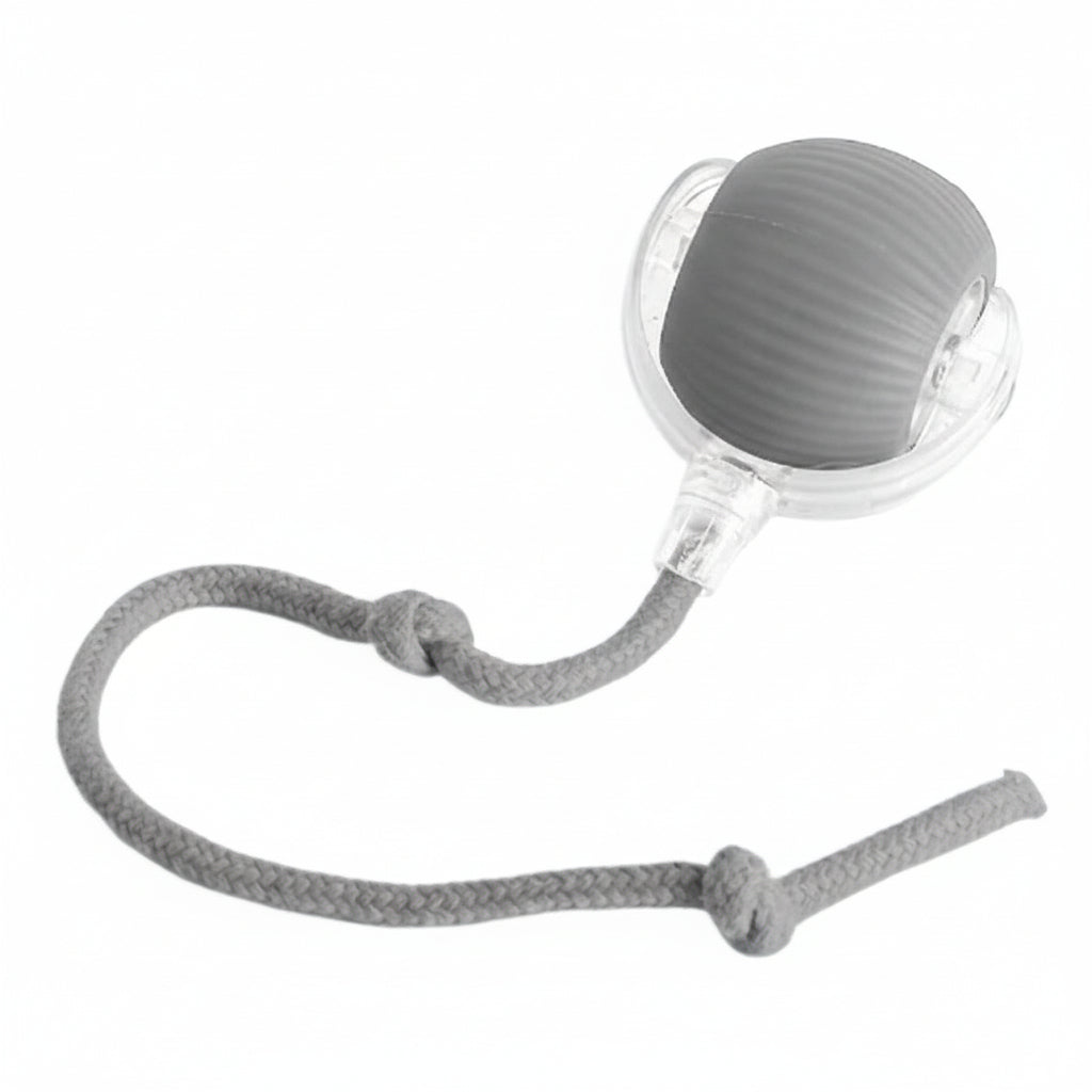 כדור משחק חכם