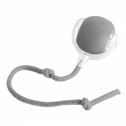 כדור משחק חכם