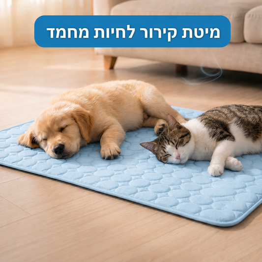 מיטת קירור איכותית לחיות מחמד | הפתרון המושלם לימי הקיץ החמים