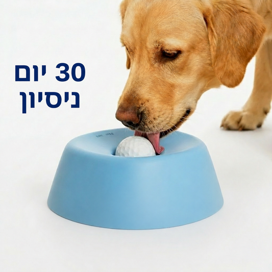 LickNJoy™ | קערת ליקוק מרגיעה לכלבים