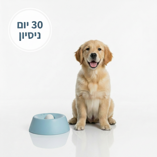 LickNJoy™ | החוויה שלהם השקט שלך