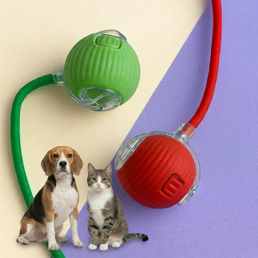 כדור ActiveBall™ למשחק חכם