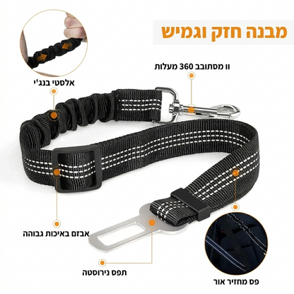 חגורת בטיחות ברכב לכלבים