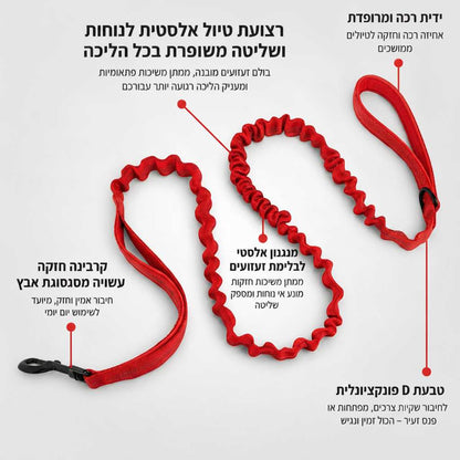 רצועת באנגי בולמת זעזועים לכלב