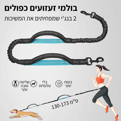בולמי זעזועים כפולים