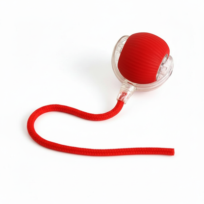 כדור ActiveBall™ למשחק חכם