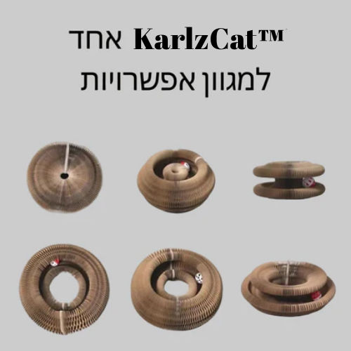 KarlzCat™ | משחק שמרגיש אחרת