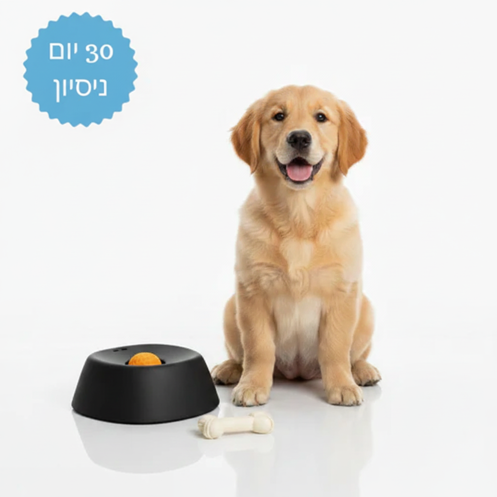 החוויה שלהם השקט שלך | LickNJoy™